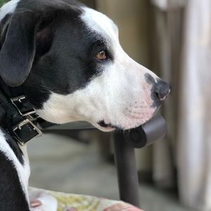 Meet your Posher, Kristin